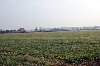 The countryside looking south-east from Elms Lane March 2012